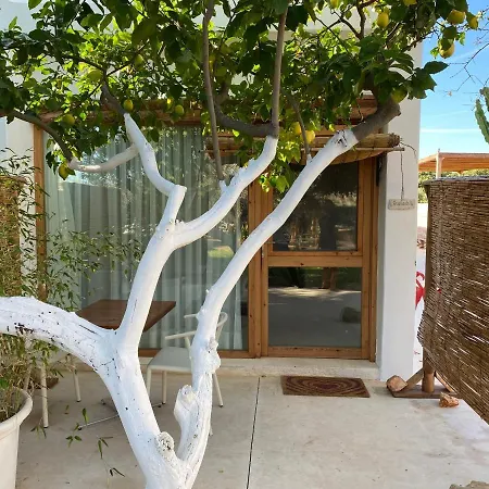 Hotel Boho (adults Only)