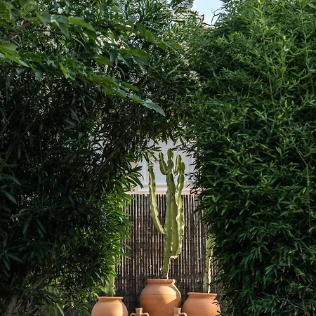 Hotel Boho (adults Only) 3*