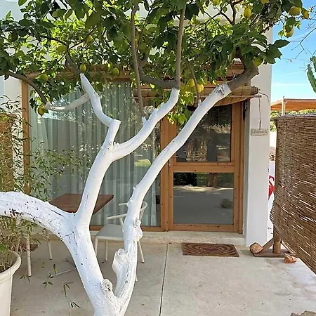 Boho (adults Only) Hotel Denia