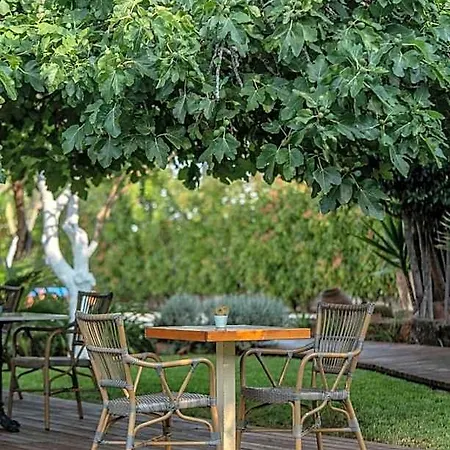 Boho (adults Only) 3* דניה